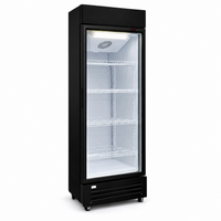 TREGGO – Gastro chladnička 55 × 64 × 195 cm – fotografia 1